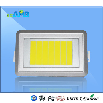 Amb LED Flood Light with New Design Light Source